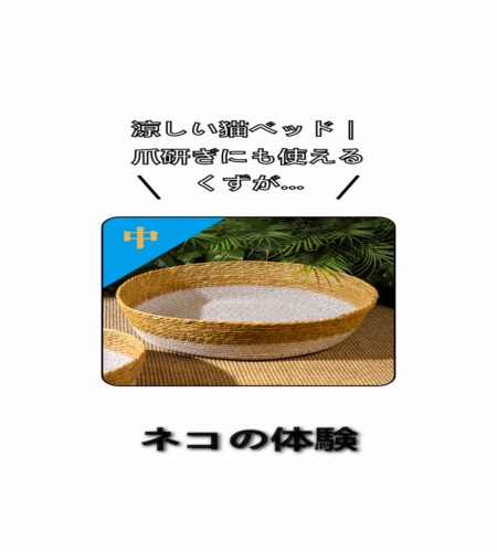 実物検証