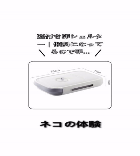 実物検証