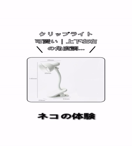 実物検証