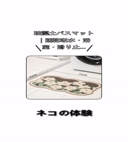 実物検証