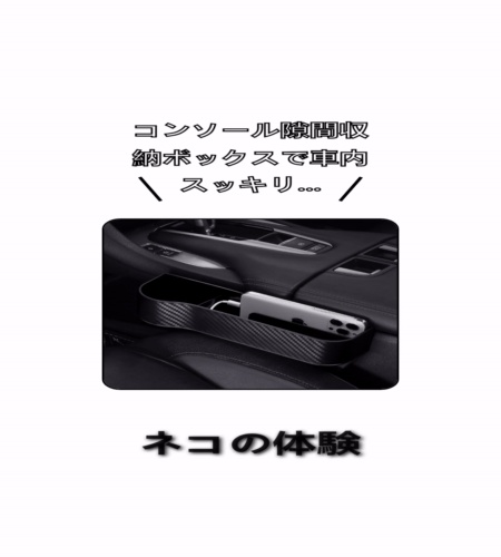 実物検証