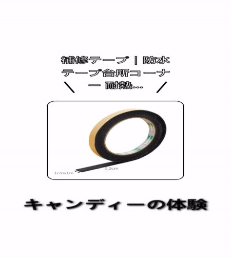 実物検証