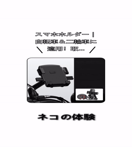 実物検証