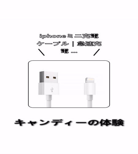 実物検証