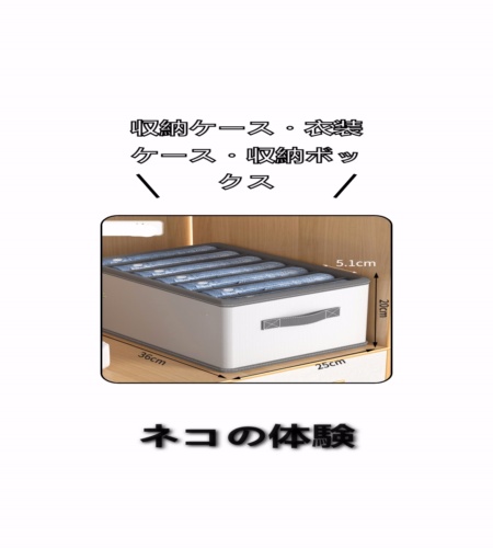 実物検証