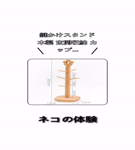 実物検証