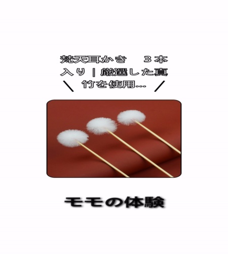 実物検証