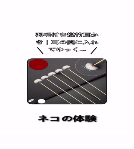 実物検証