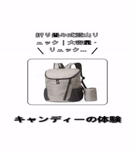 実物検証