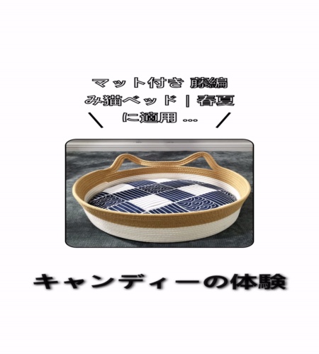 実物検証