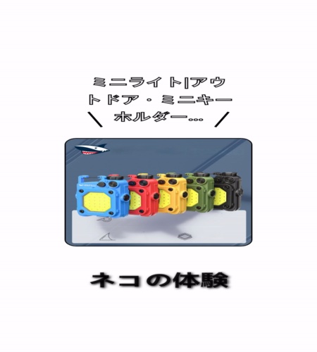 実物検証