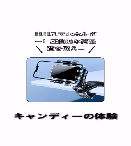 実物検証