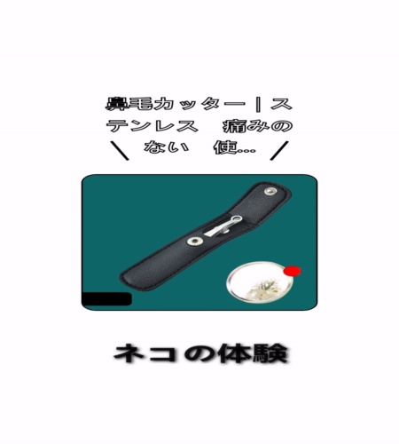 実物検証