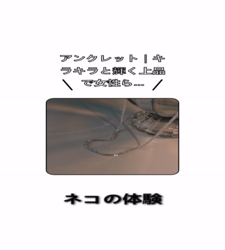 実物検証