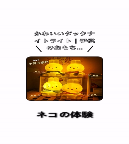 実物検証