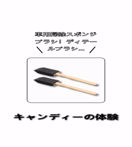実物検証