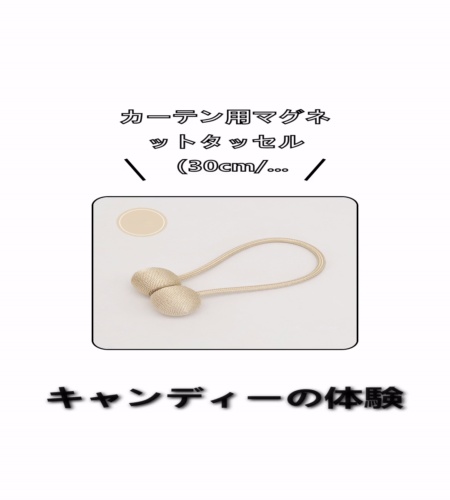 実物検証