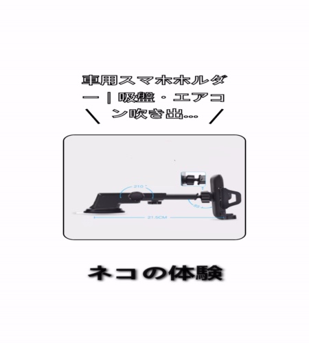 実物検証