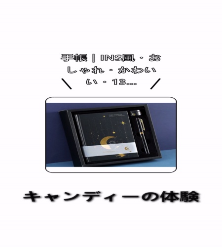 実物検証