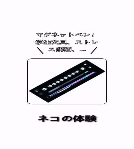 実物検証