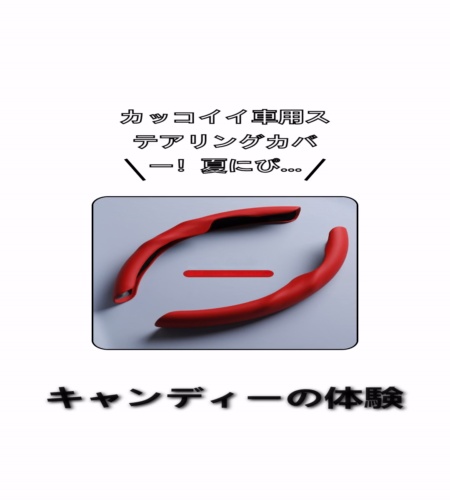 実物検証