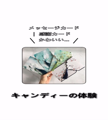 実物検証