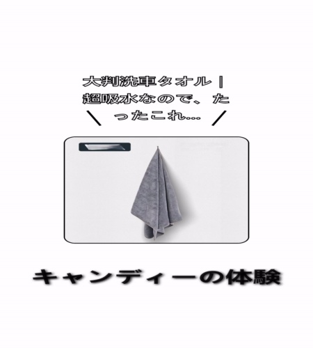 実物検証