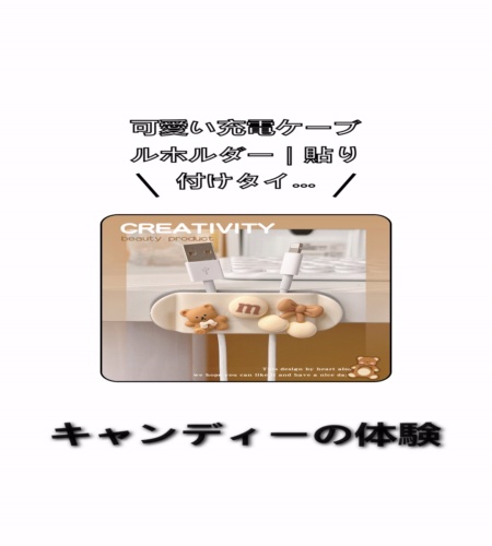 実物検証