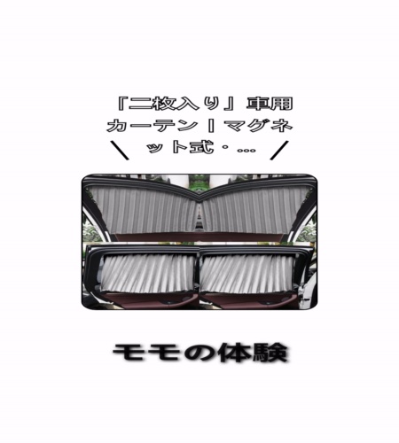 実物検証