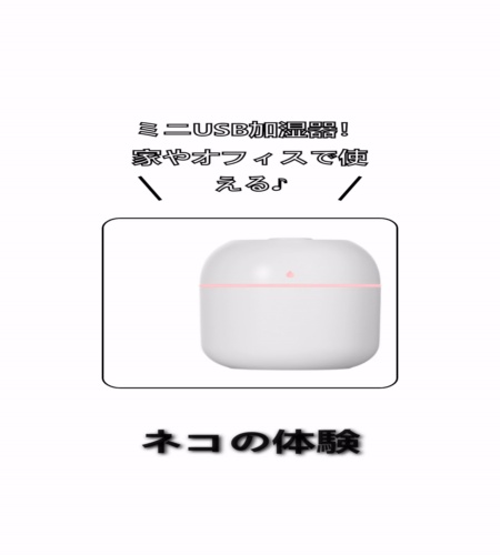 実物検証