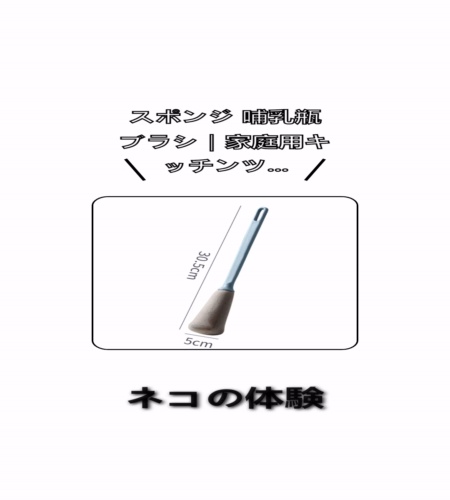 実物検証