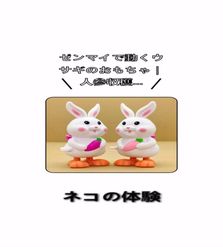 実物検証