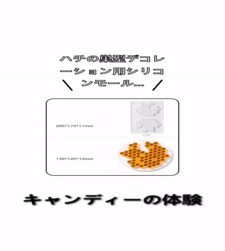 実物検証