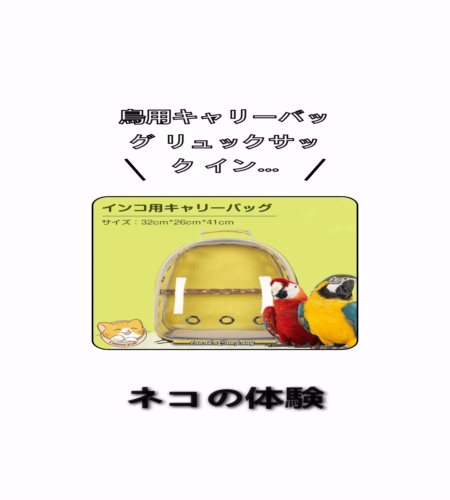 実物検証