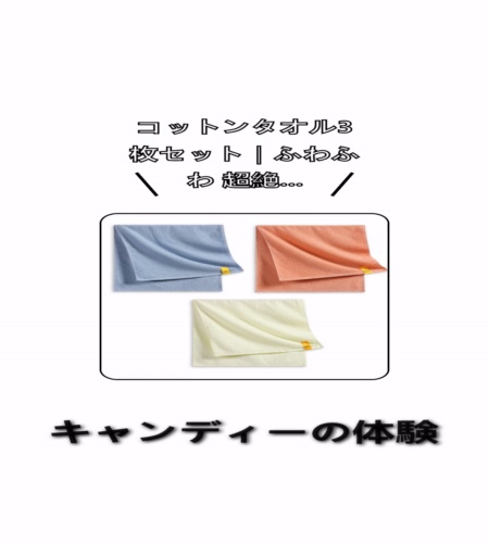 実物検証