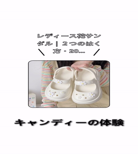 実物検証