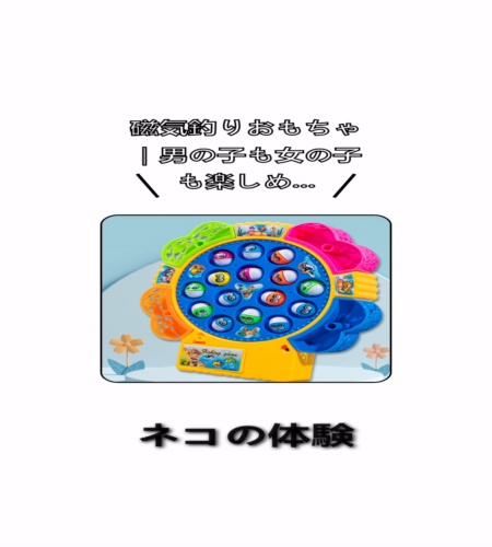 実物検証
