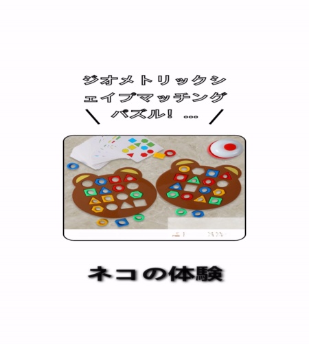 実物検証