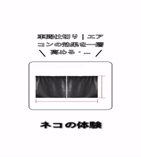 実物検証