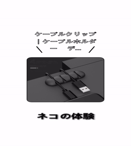 実物検証