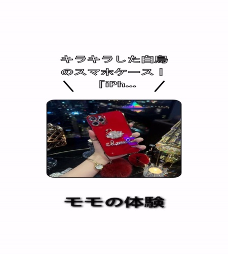 実物検証