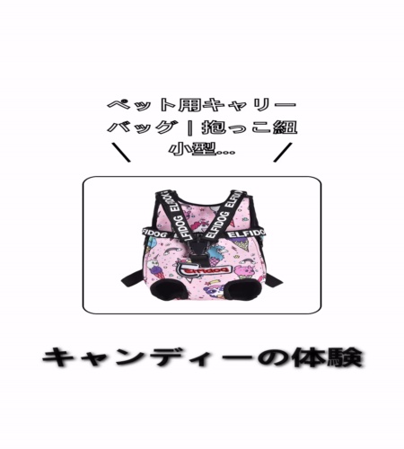実物検証