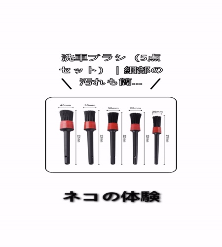 実物検証