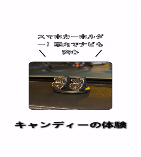 実物検証