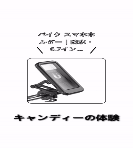 実物検証