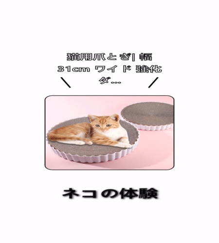 実物検証