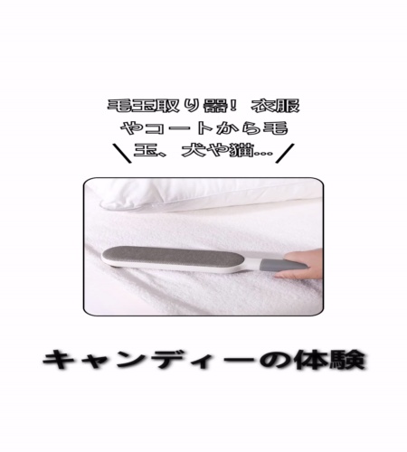 実物検証