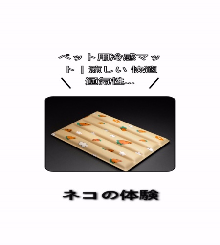 実物検証