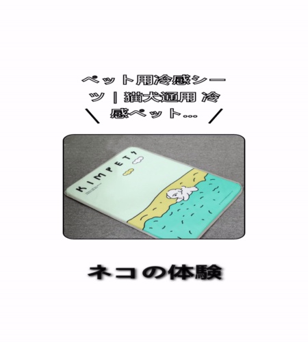 実物検証