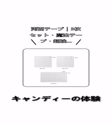 実物検証